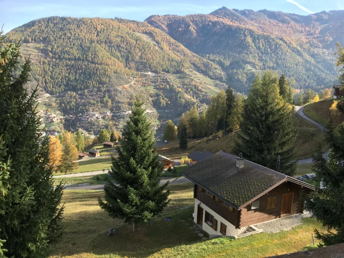 Chalet Le Fertin La Tzoumaz Luaran gambar